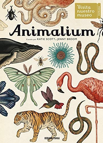 ANIMALIUM - VISITA NUESTRO MUSEO