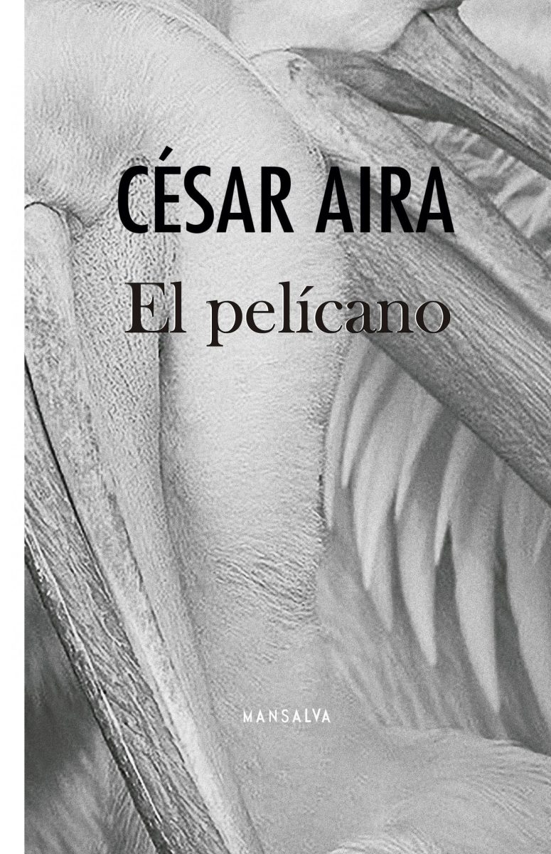 El Pelicano